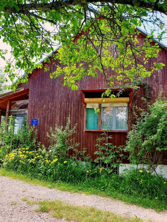 Draga Koncar Guest House Vrelo Koreničko Exteriér fotografie