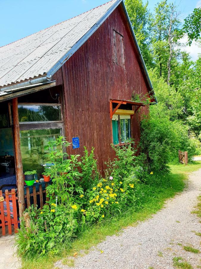 Draga Koncar Guest House Vrelo Koreničko Exteriér fotografie