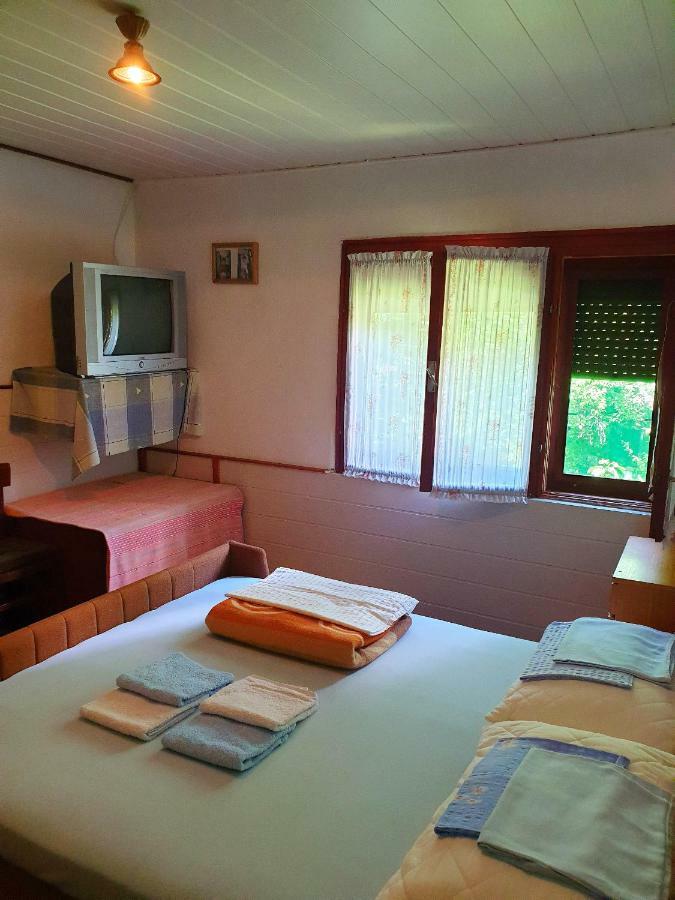 Draga Koncar Guest House Vrelo Koreničko Exteriér fotografie