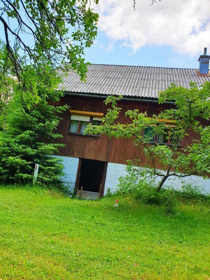 Draga Koncar Guest House Vrelo Koreničko Exteriér fotografie