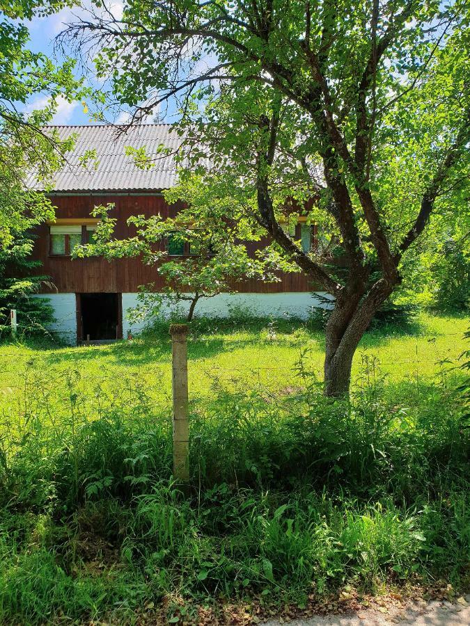 Draga Koncar Guest House Vrelo Koreničko Exteriér fotografie