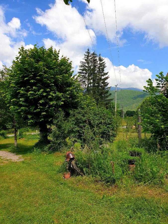 Draga Koncar Guest House Vrelo Koreničko Exteriér fotografie