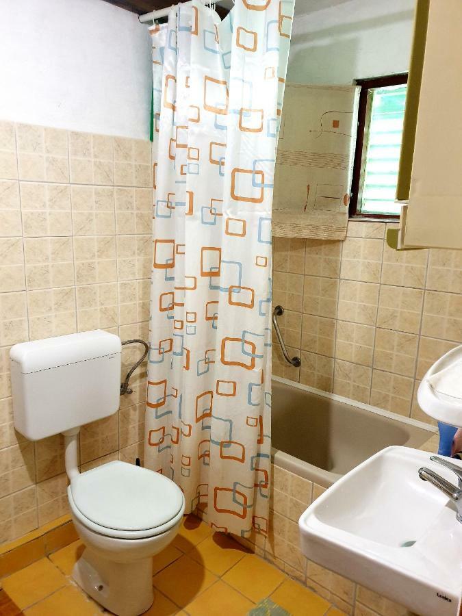 Draga Koncar Guest House Vrelo Koreničko Exteriér fotografie