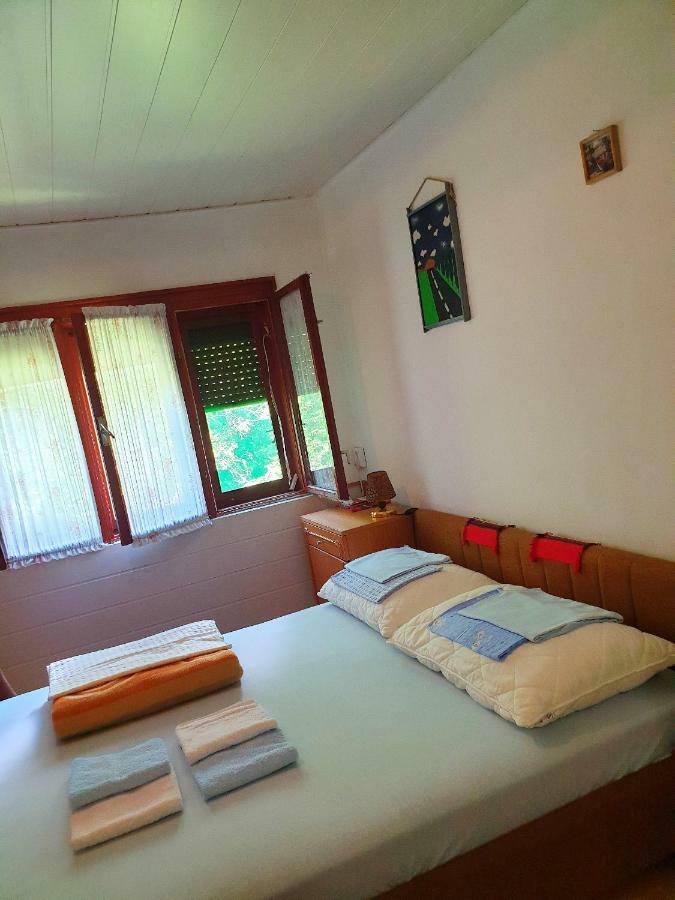 Draga Koncar Guest House Vrelo Koreničko Exteriér fotografie